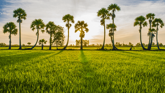 Vietnam private tours – What you need to know